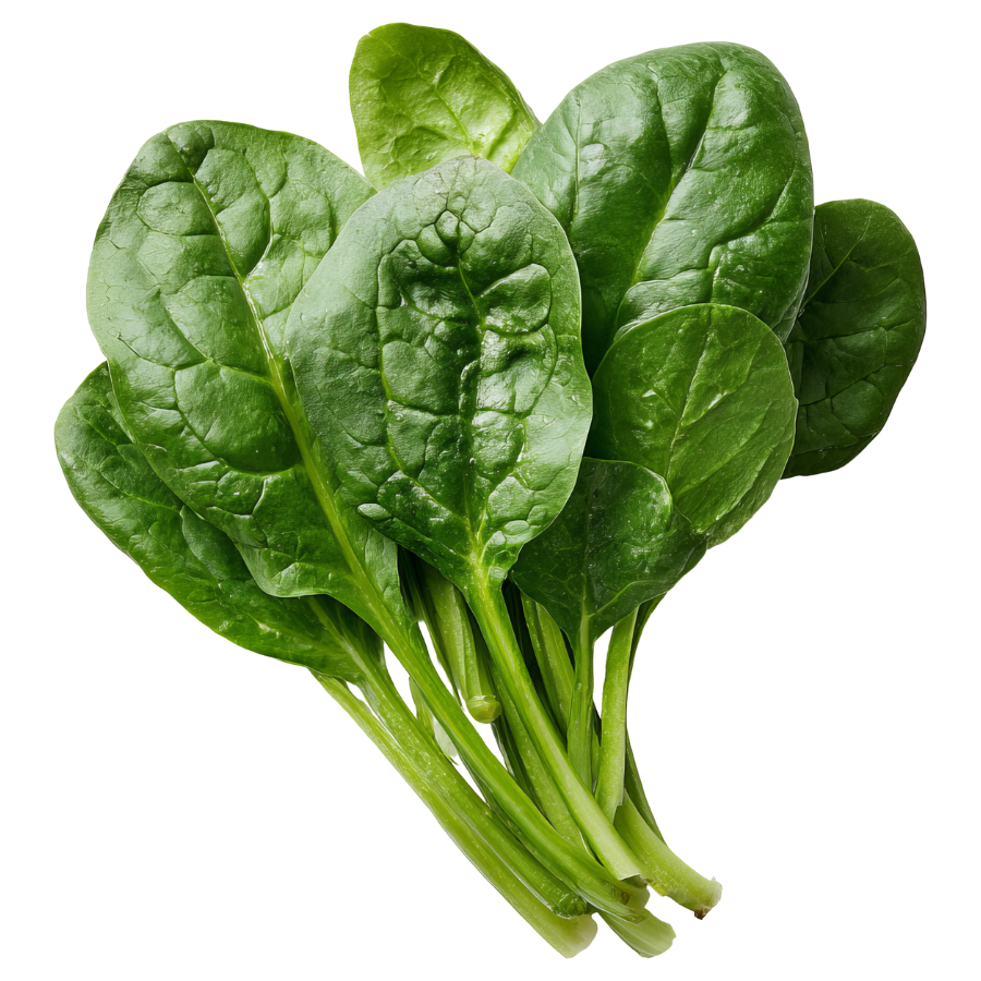 Spinach Bunch