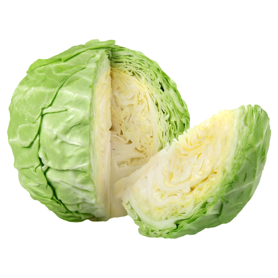 Green Cabbage