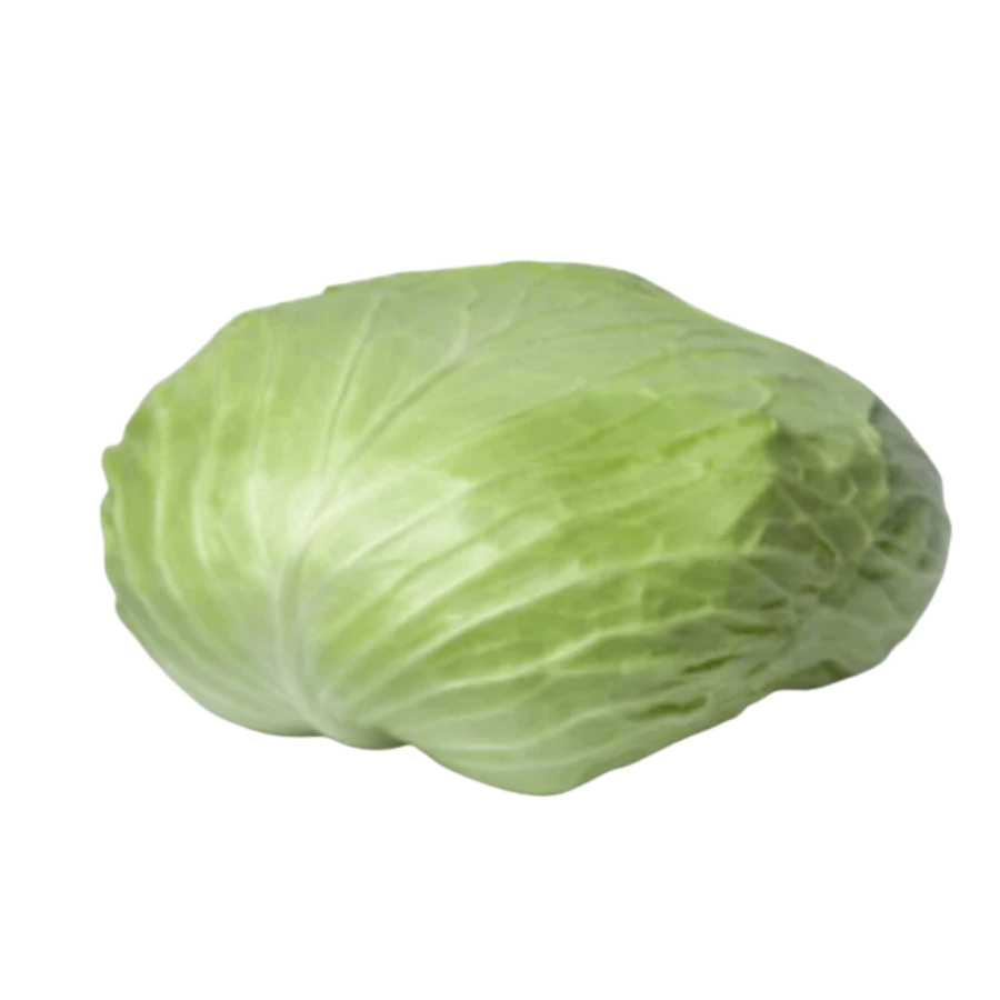 Flat Cabbage