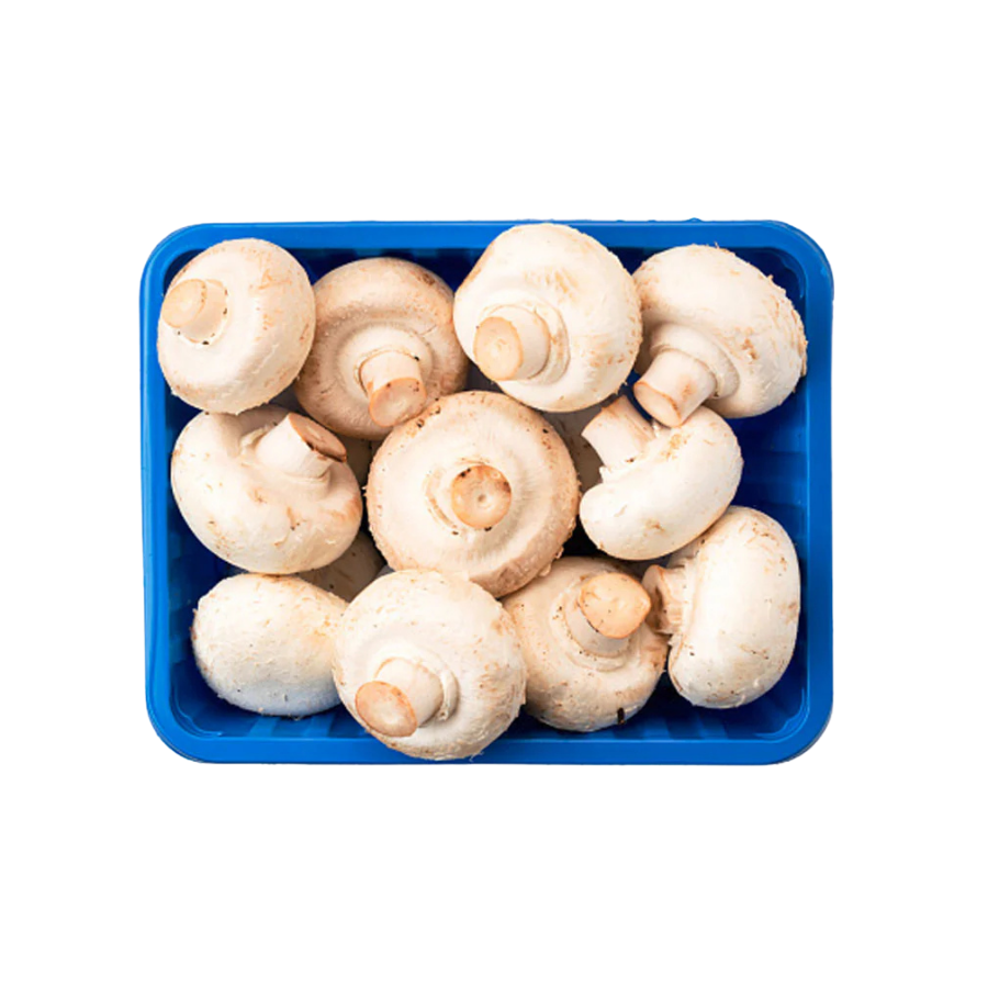 White Mushrooms Pack