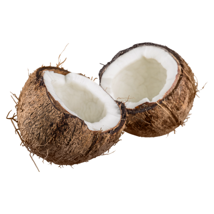 Coconut