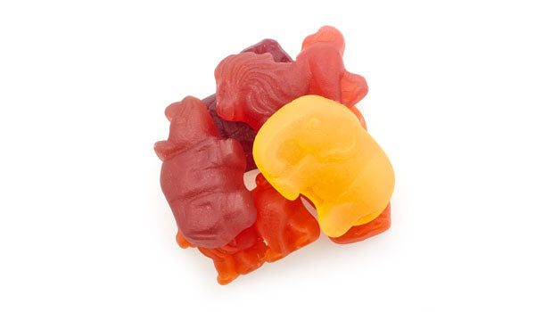 Jelly Zoo Animals
