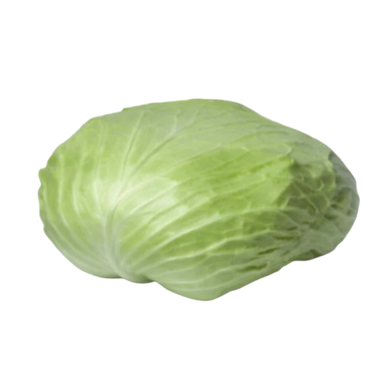 Flat Cabbage