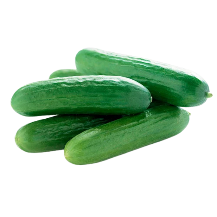Mini Cucumber 1lb