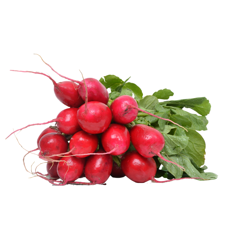 Radish Bunch