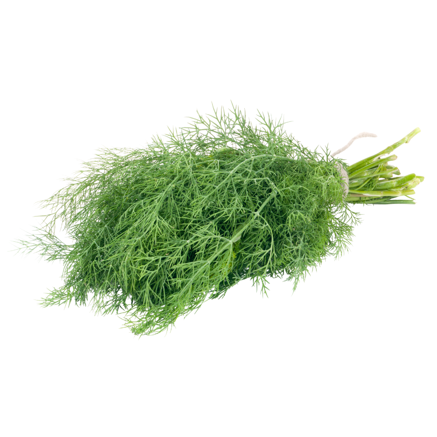 Dill Bunch