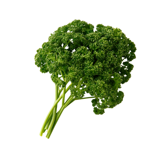 Curly Parsley Bunch