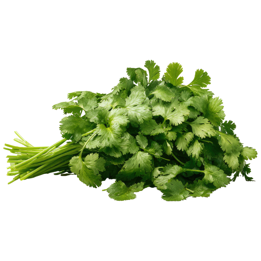 Plain Parsley Bunch